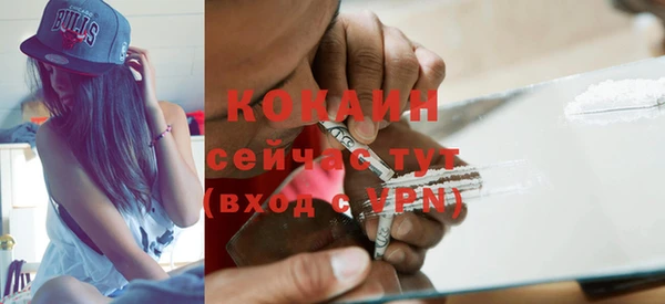 хмурый Гусев