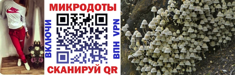 Галлюциногенные грибы Psilocybine cubensis  Купить  Мосальск 